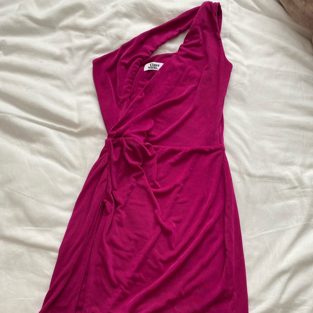Tiger mist purple mini dress
